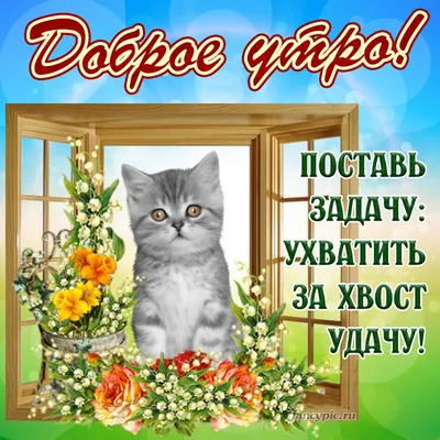 Картина на стену Милый котик купить -интернет магазин в Москве