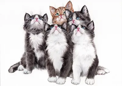 Много милых котят» — создано в Шедевруме