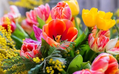 Обои природа, красота, весна, май, цветение, дача, алыча картинки на рабочий  стол, раздел цветы - скачать | Радужные розы, Цветение, Цветы