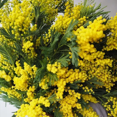 Купить Мимоза искусственные цветы букет из 3-х штук.Искусственные цветы для  декора по выгодной цене в интернет-магазине OZON.ru (881942028)