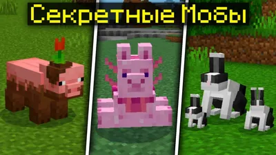 Фанаты Minecraft призывают к «революции» и отказываются голосовать за новых  мобов • Minecraft