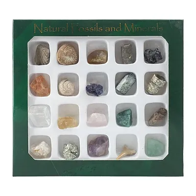 20 шт., скалы и минералы для изучения земли | AliExpress