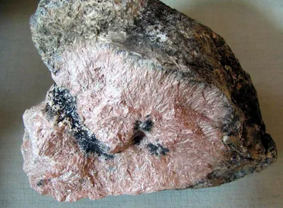 Коллоидные минералы с соком Асаи НСП - Каталог БАД NSP | Оригинальная  продукция компании NSP