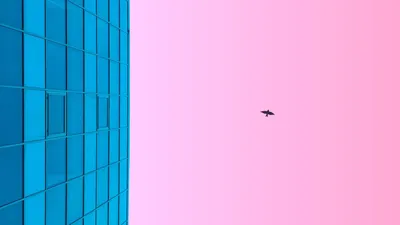 Скачать 1920x1080 минимализм, голубой, розовый, здание, небо, птица обои,  картинки full hd, hdtv, fhd, 1080p