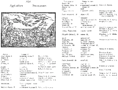 Comenius. Orbis pictus. Ян Амос Коменский. Мир чувственных вещей в картинках