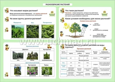 Окружающий мир. Разнообразие растений. 1-4 классы: Таблица-плакат 420х297 –  купить по цене: 28,80 руб. в интернет-магазине УчМаг