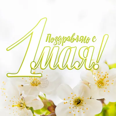 Картинки на 1 мая 2023: красивые и прикольные открытки с надписями к  Празднику Весны и Труда - МК Новосибирск