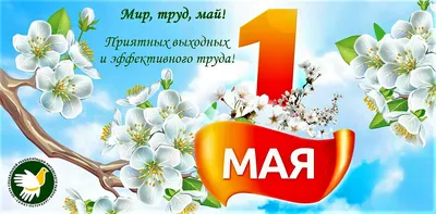 Мир! Труд! Шашлык! - прикольные открытки и поздравления с 1 мая - sib.fm