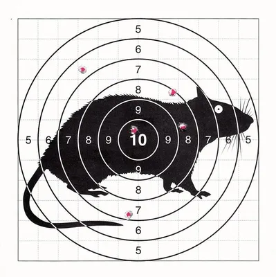 Мишень для стрельбы 17Х17см КАБАН (бумага 200шт.) - купить с доставкой по  выгодным ценам в интернет-магазине OZON (595645873)