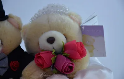 26 см Kanye плюшевый медведь, плюшевая игрушка, мультяшный медведь, куклы,  мягкая игрушка, Рождественский подарок на день рождения для детей |  AliExpress