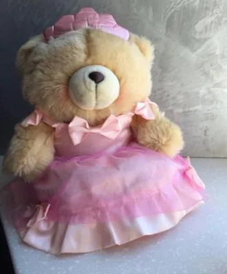 Hallmark Money Presenter Porte Billet Graduation Bear Plush Stuffed Animal  New | eBay