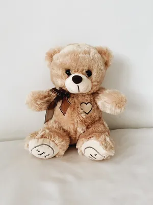 Мягкая игрушка плюшевый медведь, медвежонок, мишка плюшевый средний сидя 25  см, 30 в длину, ОР 40 см кофейный | AliExpress