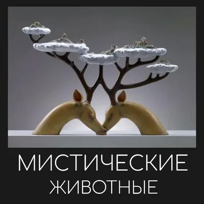 Мистические истории. Призрак и костоправ (м) | eBay