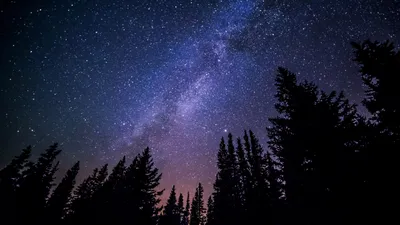 картинки : природа, небо, звезда, Млечный Путь, космос, атмосфера,  Созвездие, пространство, Галактика, длительное воздействие, Деревьями,  Звездный, наука, Астрономия, Звезды, Вселенная, исследование, звездная  ночь, Астрофотография, Силуэты, Полночь ...