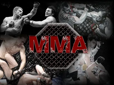 The New Fight Game: How An MMA Startup Wants To Capture The Sport's 450  Million Global Fans