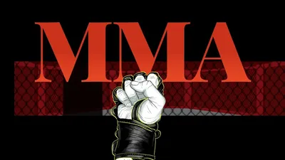 A Beginner's Guide To MMA Sparring - Evolve University Blog