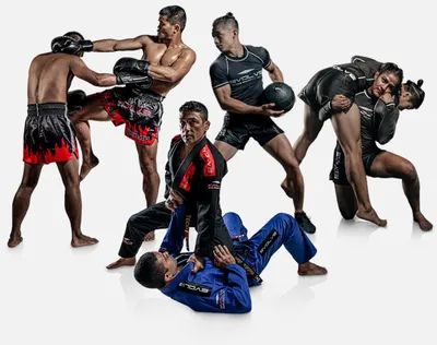 5 Techniques Every MMA Fighter Must Know - Evolve University Blog