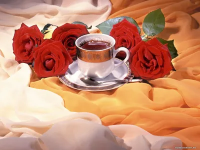 Доброе утро с красными розами Стоковое Фото - изображение насчитывающей  красно, бумага: 159655618