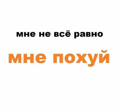 Да мне похуй на вас соседи ебаные ©Громкая музыка / громкая музыка ::  музыка :: цитаты / смешные картинки и другие приколы: комиксы, гиф  анимация, видео, лучший интеллектуальный юмор.