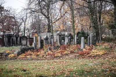 Могила в исламе: мусульманские могилы и надгробные памятники | полезные  статьи Ritual.ru