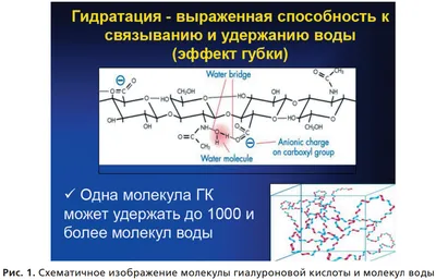 От медицины до энергетики: открыта чудо-молекула, которая может  революционизировать современные технологии