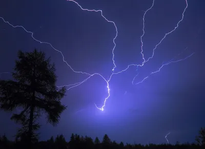 Гнев небесный: Почему молния бьет в людей и можно ли ею управлять —  08.04.2021 — Lifestyle на РЕН ТВ
