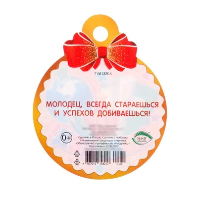 Медаль-магнит \"Молодец\" (2314890) - Купить по цене от 19.00 руб. | Интернет  магазин SIMA-LAND.RU