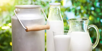Какое молоко лучше выбрать? Советы Роскачества