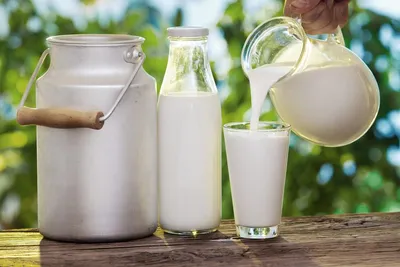 Как выбрать качественное молоко в магазине — советы