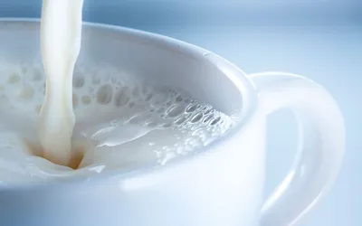 Молоко Правильное молоко пастеризованное 3.2-4%, 2л купить с доставкой на  дом, цены в интернет-магазине