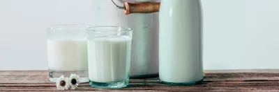 Растительное молоко: особенности, преимущества и полезные рецепты!