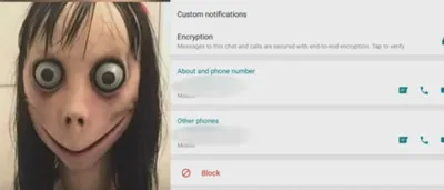 Cyber-bullying disguised as internet game Momo Challenge | WPMI