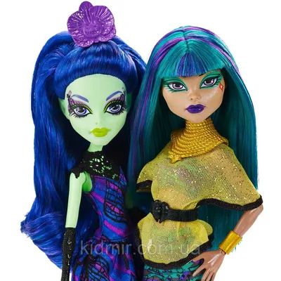 Набор кукол Монстер Хай Аманита и Нефера Monster High Nefera de Nile  Amanita Nightshade DMD73 купить в Киеве недорого, цена | интернет-магазин  игрушек Кидмир