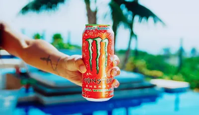 All Your Monster Energy Drink Questions, Answered | Sporked