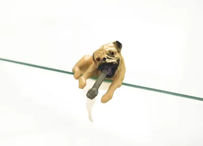 Мопс: императорская собака с иероглифами на лбу | Догси – Журнал про собак!  | Дзен