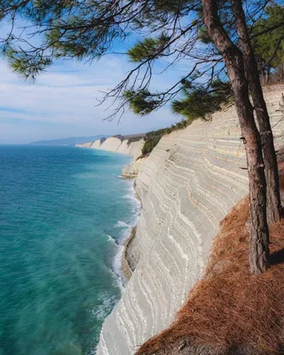 В Геленджике Черное море стало коричневым | Пикабу