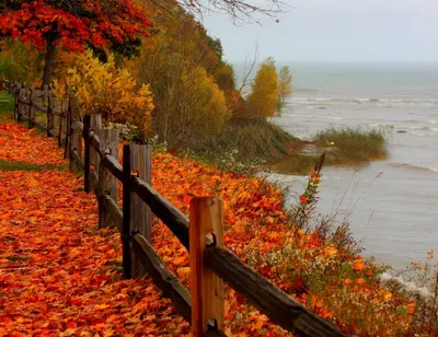 Море осенью (85 фото) - 85 фото