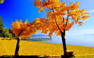 Вид на море, осенью в Польше Стоковое Фото - изображение насчитывающей  лето, напольно: 213039106