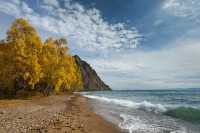 Белое море осенью, Заяцкий остров…» — создано в Шедевруме