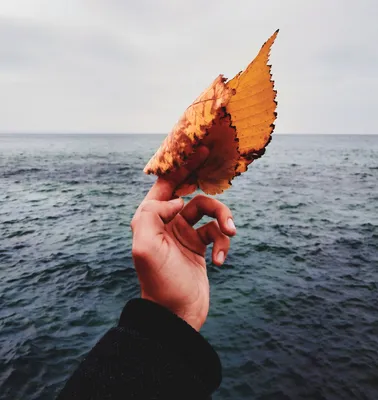 Осень, море | Пикабу