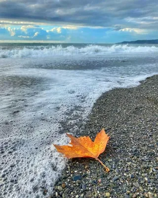 Море осенью