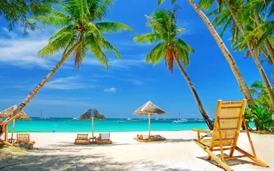 Скачать обои море, песок, пляж, пальмы, отдых разрешение 2560x1600 #226524