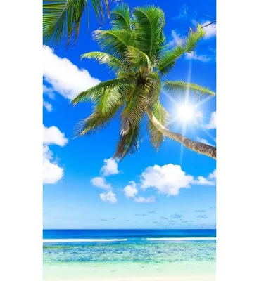 Обои Пальмы, пляж, море, качели, остров, тропический 3840x2160 UHD 4K  Изображение