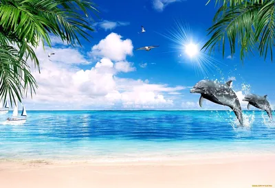 Скачать обои для смартфона море,пляж,пальмы. | Летние обои на телефон. |  Постила