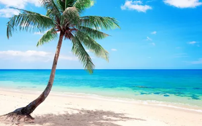Флизелиновые обои фото Море Океан Пейзаж 254x184 см 3Д Солнечный пляж и  пальмы (735V4)+клей (ID#1346591005), цена: 1200 ₴, купить на Prom.ua