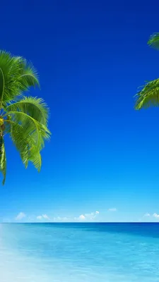 Фотообои на стену флизелиновые, Знойные тропики с видом на море, пальмы,  остров и водопады 3д, 200*270 см, рельефные, с виниловым покрытием,  моющиеся - купить по выгодной цене в интернет-магазине OZON (468272417)
