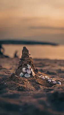 🌊 🐚 море, пляж с песком, ракушки…» — создано в Шедевруме