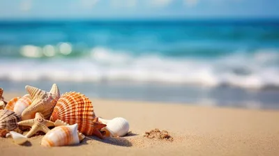 Обои Разное Ракушки, кораллы, декоративные и spa-камни, обои для рабочего  стола, фотографии разное, ракушки, кораллы, декоративные и spa-камни,  starfish, тропики, море, пляж, песок, морская, звезда, tropics, sea, beach,  sand, shells Обои для