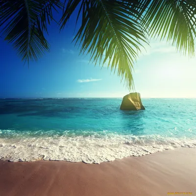 Фотообои Пляж белый песок море и волны Nru97894 купить на заказ в  интернет-магазине
