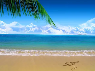 Скачать обои море, песок, пляж, пальмы, отдых разрешение 2560x1440 #170695